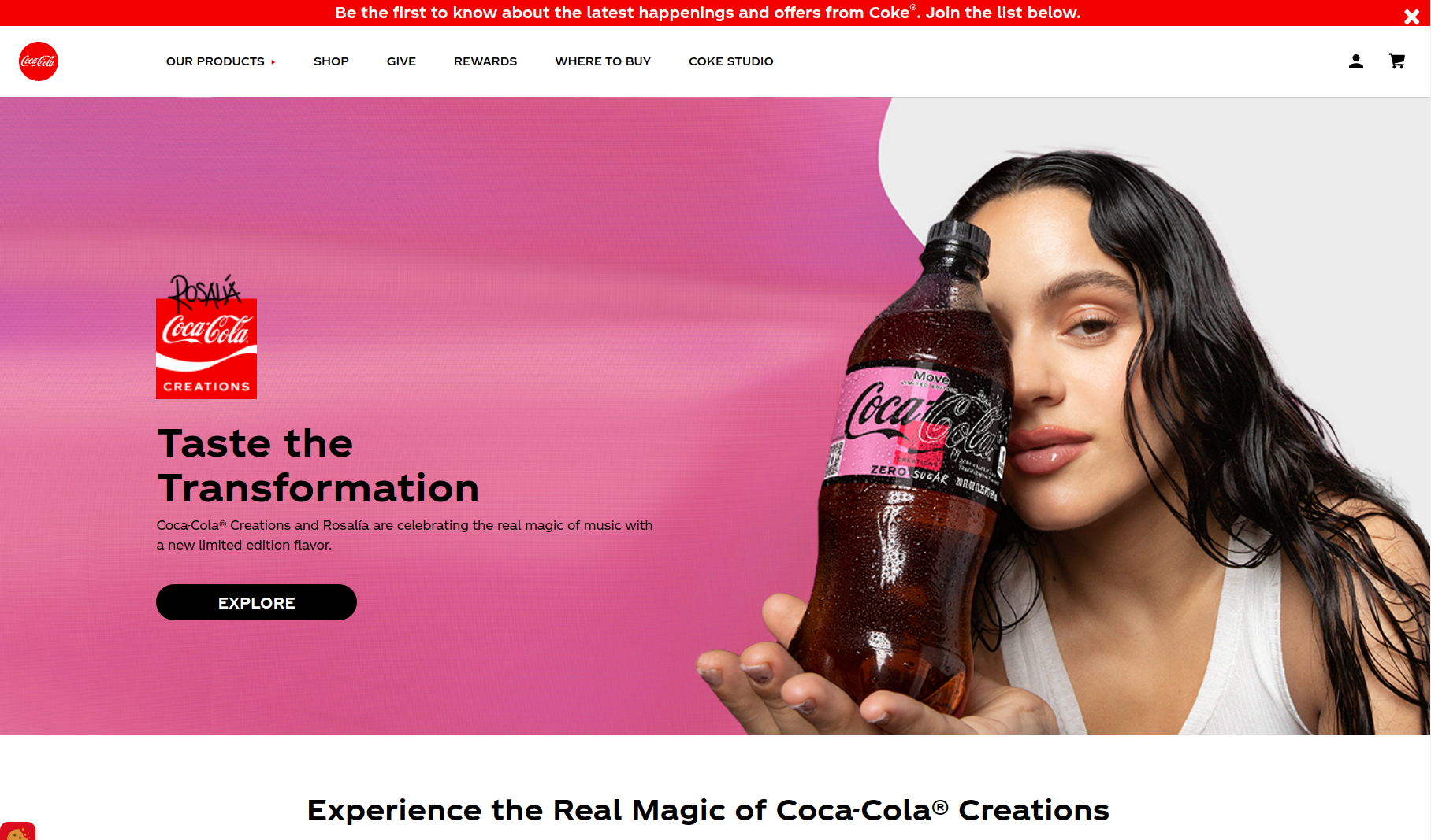 US Coca Cola website localization